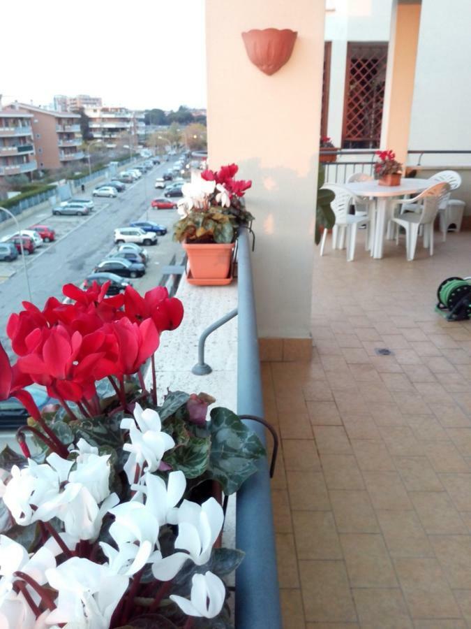 Mezzocammino Short Rent - Ciu5125 Apartment Rom